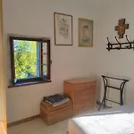Pelati Tatil Evi *